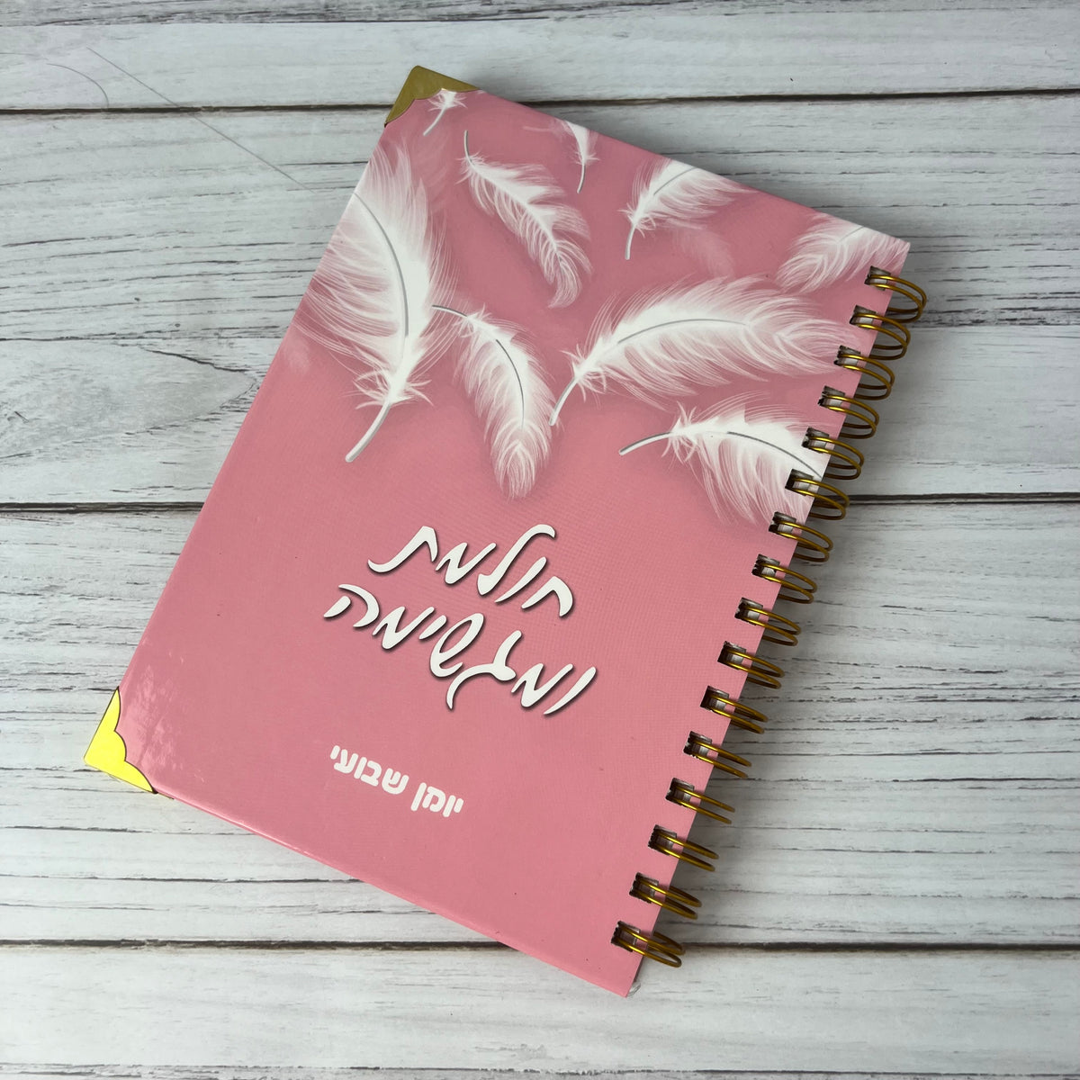 יומן שנתי - חולמת ומגשימה