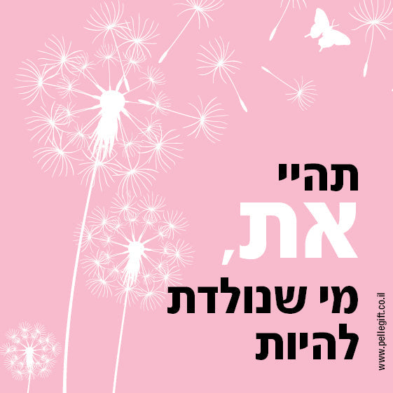 מארז 6 מגנטים עם הכיתוב: את מלכה ורוד - תצוגה נוספת 4