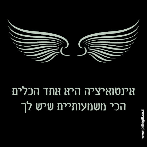 מגנט קטן | אינטואיצה