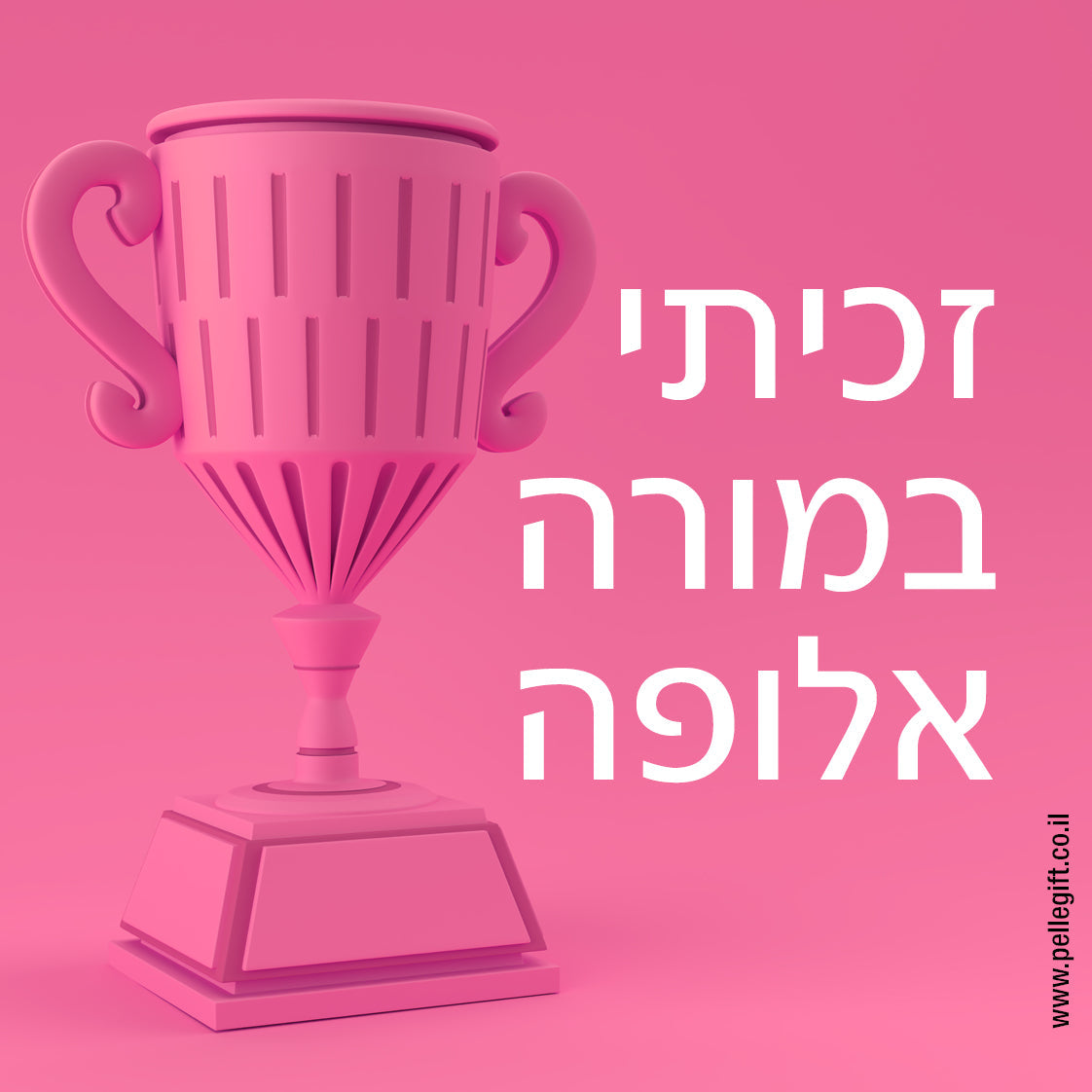מארז למורה 6 מגנטים בצבע ורוד עם הכיתוב: תודה לך - תצוגה נוספת 6