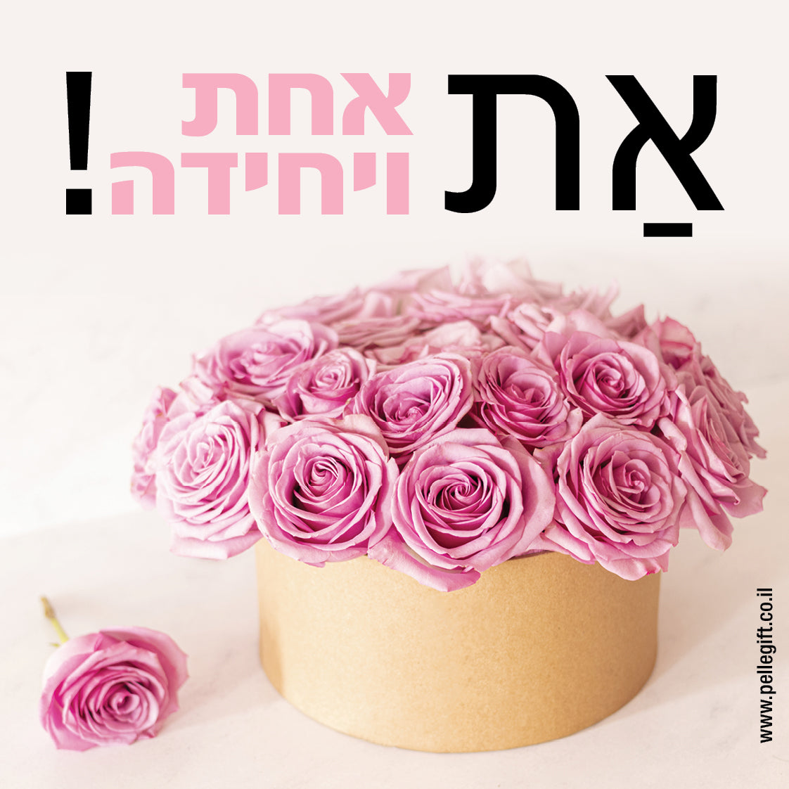 מארז למורה 6 מגנטים בצבע ורוד עם הכיתוב: תודה לך - תצוגה נוספת 7