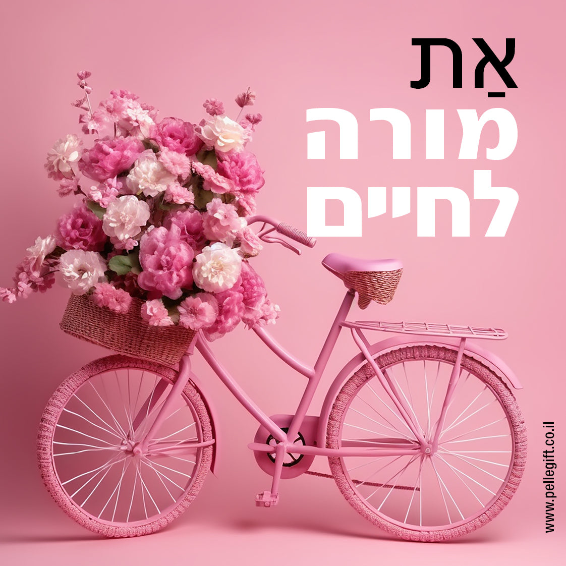 מארז למורה 6 מגנטים בצבע ורוד עם הכיתוב: תודה לך - תצוגה נוספת 2
