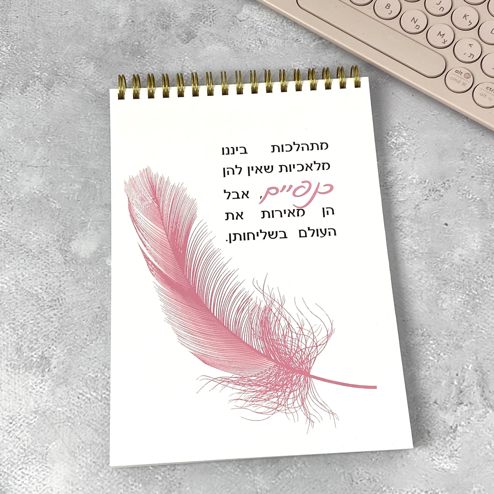 מחברת ספירלה | מלאכיות שמאירות את העולם