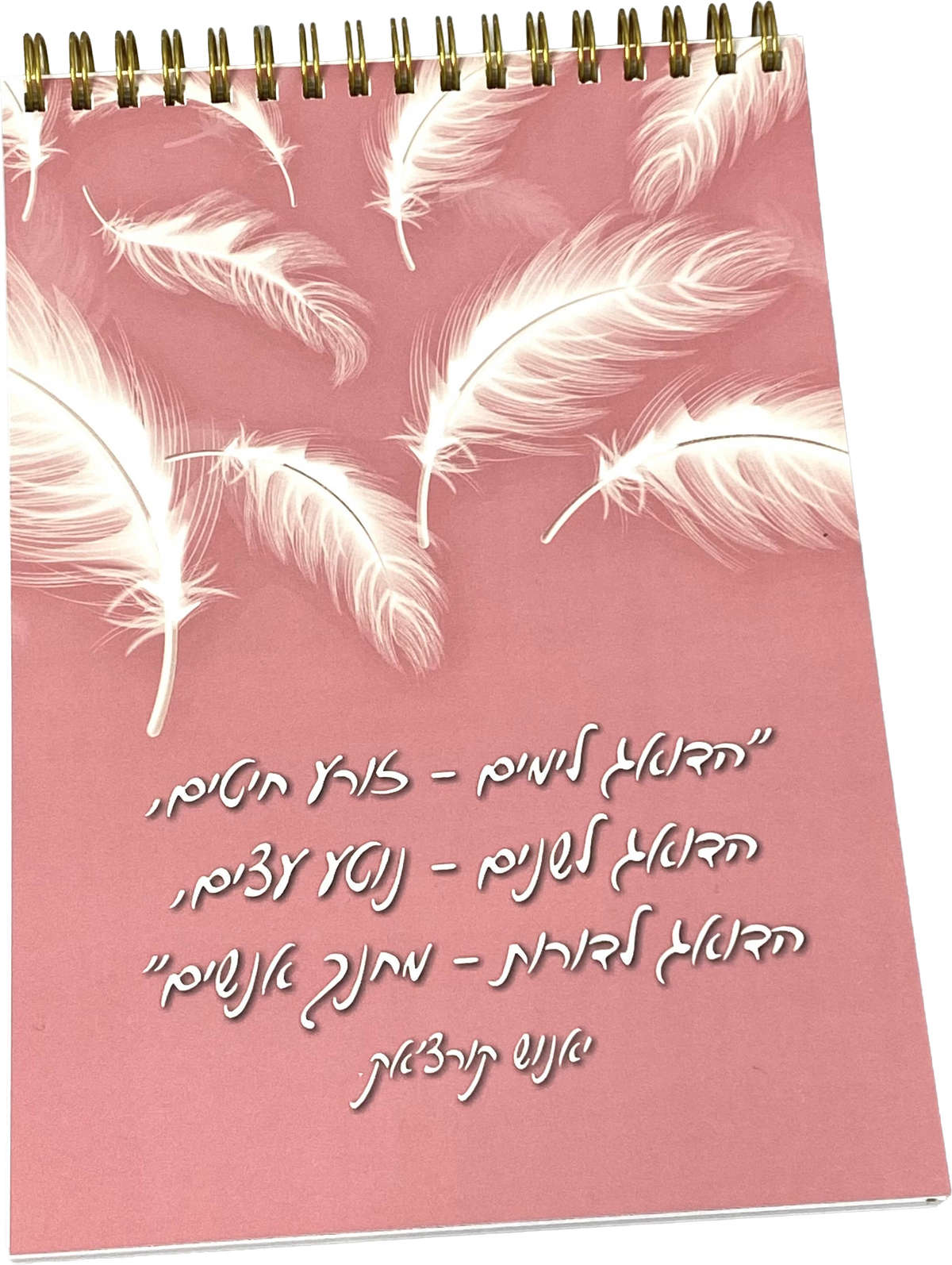 מחברת ספירלה | נוצות ורוד
