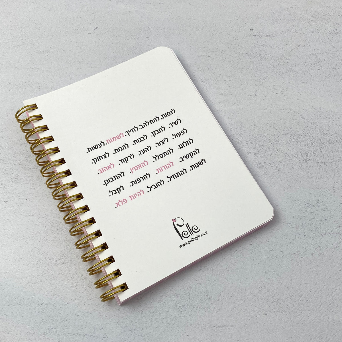 מחברת כיס | נוצה למורה /מטפלת או כל אישה שהאירה לך את הלב