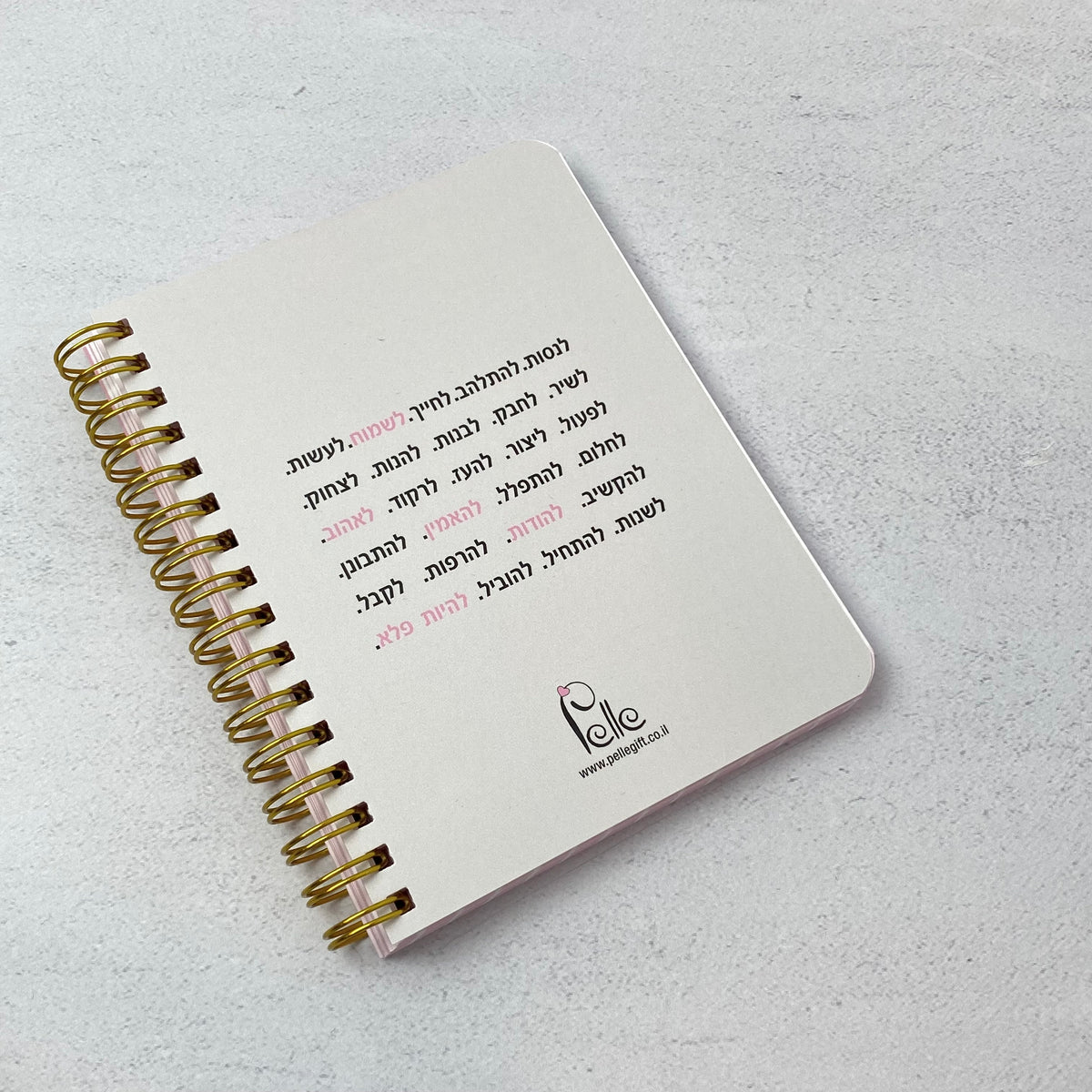 מחברת כיס | תעזי