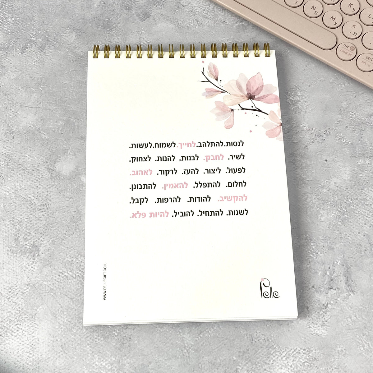 מחברת ספירלה - ספירלה דגם מגיע לך לבחור בעצמך - תצוגה נוספת 2