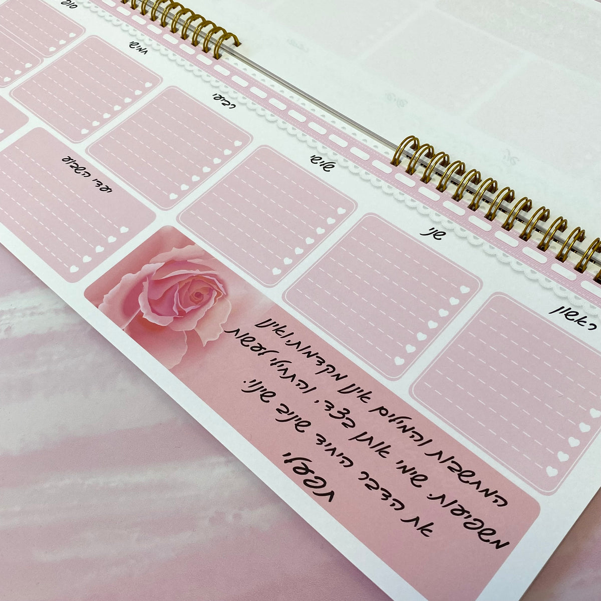 לוח תכנון שבועי ספירלה דגם את מהממת