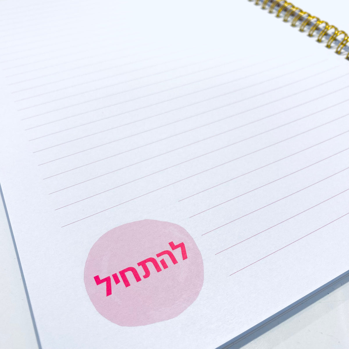 מחברת ספירלה גדולה | את מלכה