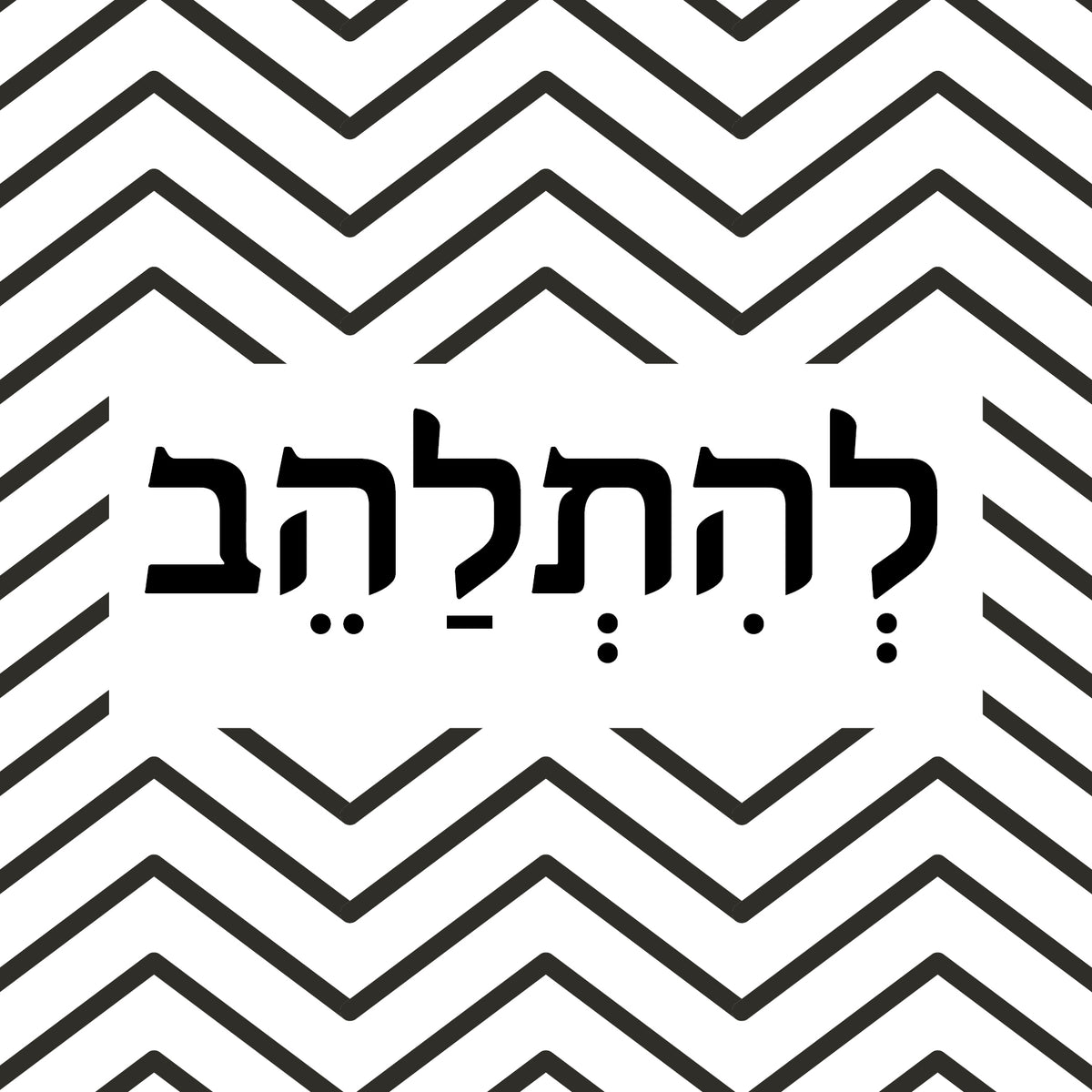 "תמונה | "להתלהב