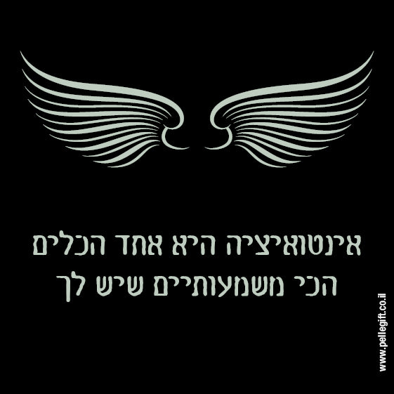 מגנט דגם אינטואיצה