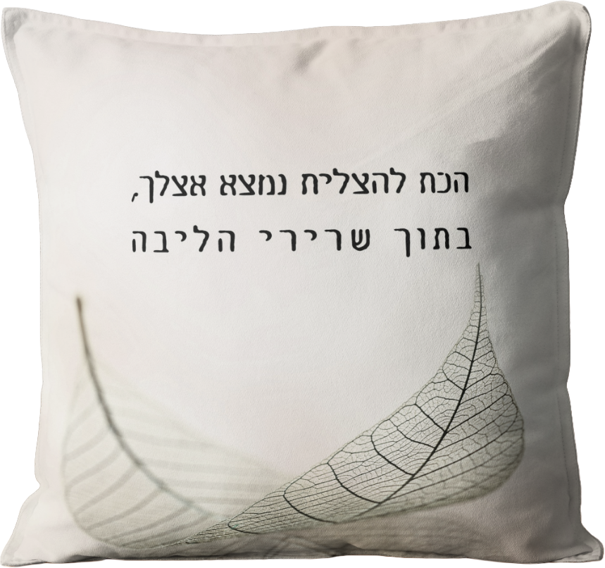 כרית מעוצבת | הכח להצליח נמצא אצלך