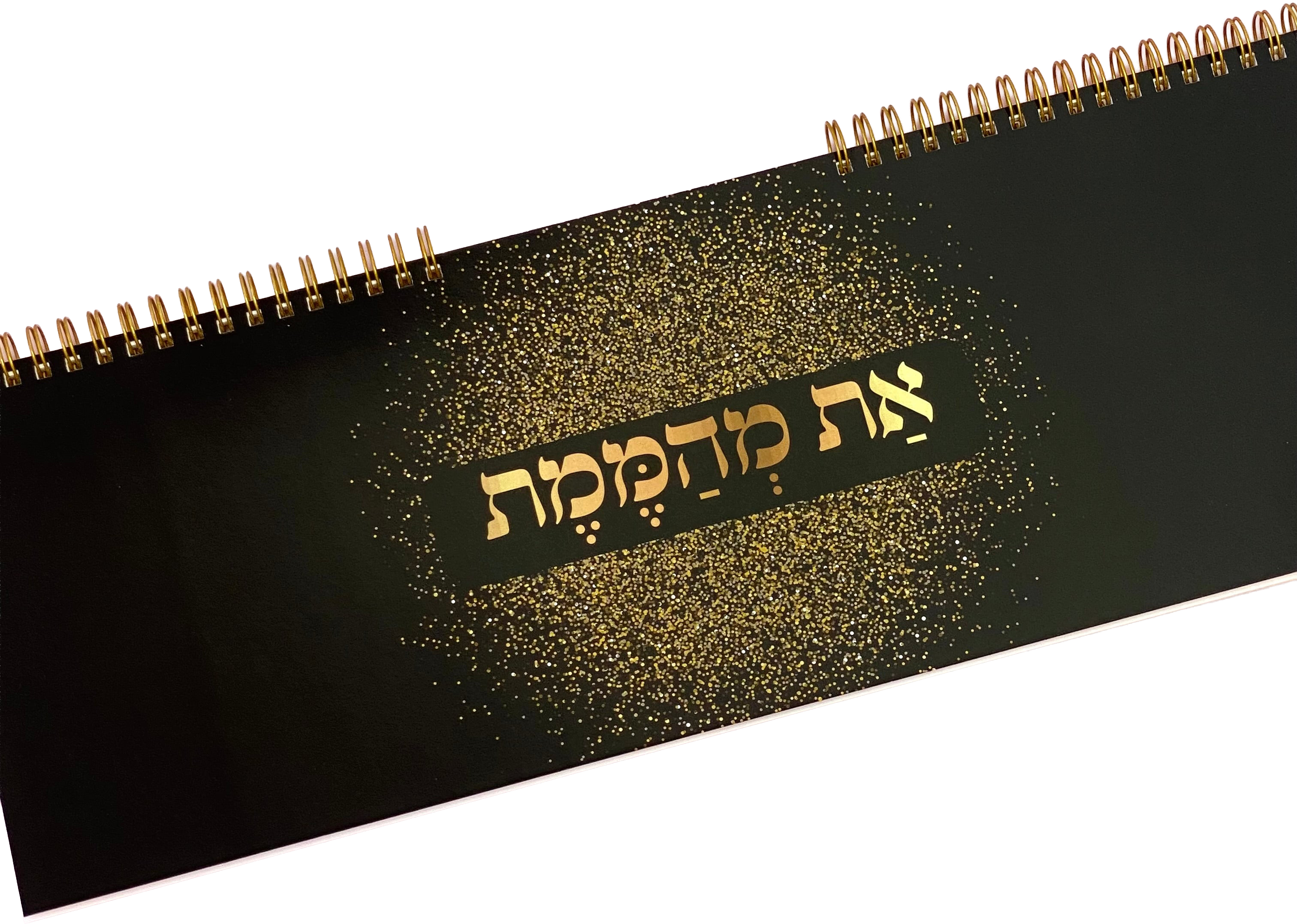 לוח תכנון שבועי ספירלה דגם את מהממת