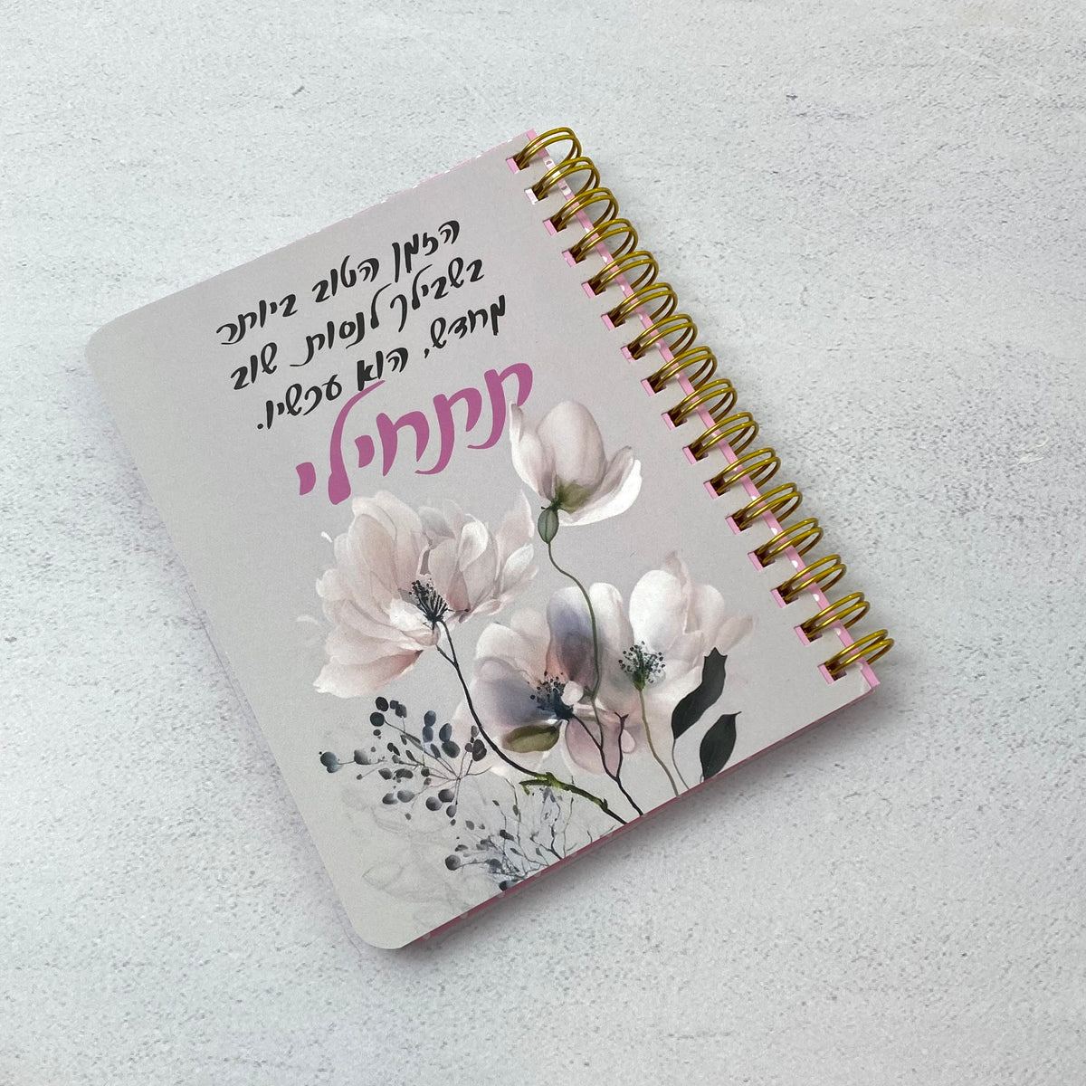 מחברת כיס | תתחילי