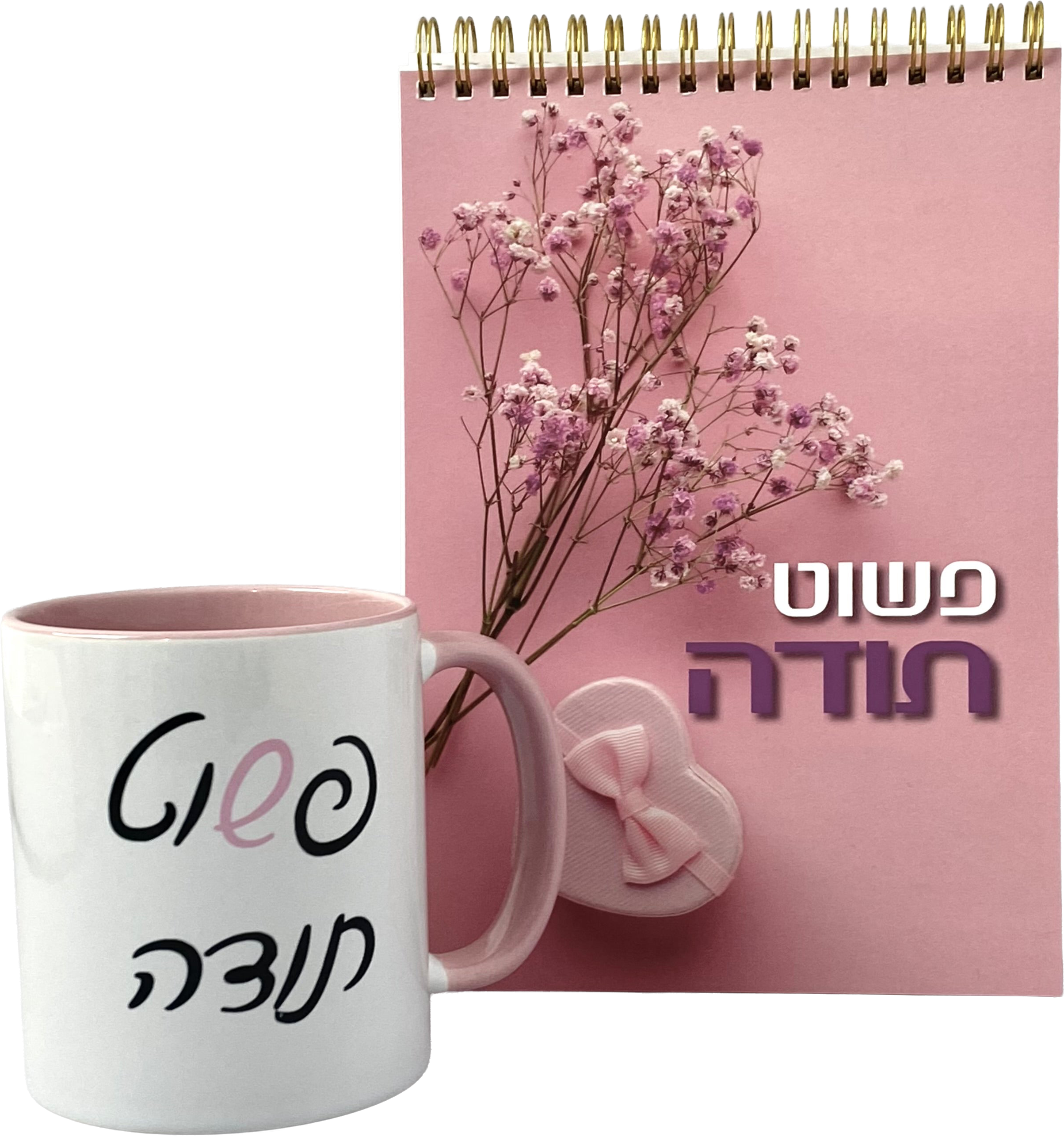 מארז פשוט תודה | ספירלה וספל