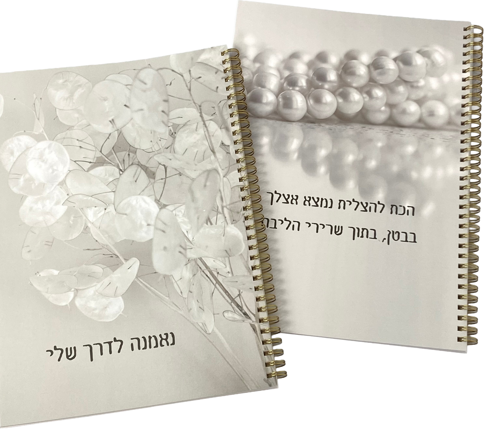 מארז השראה של 2 מחברות גדולות
