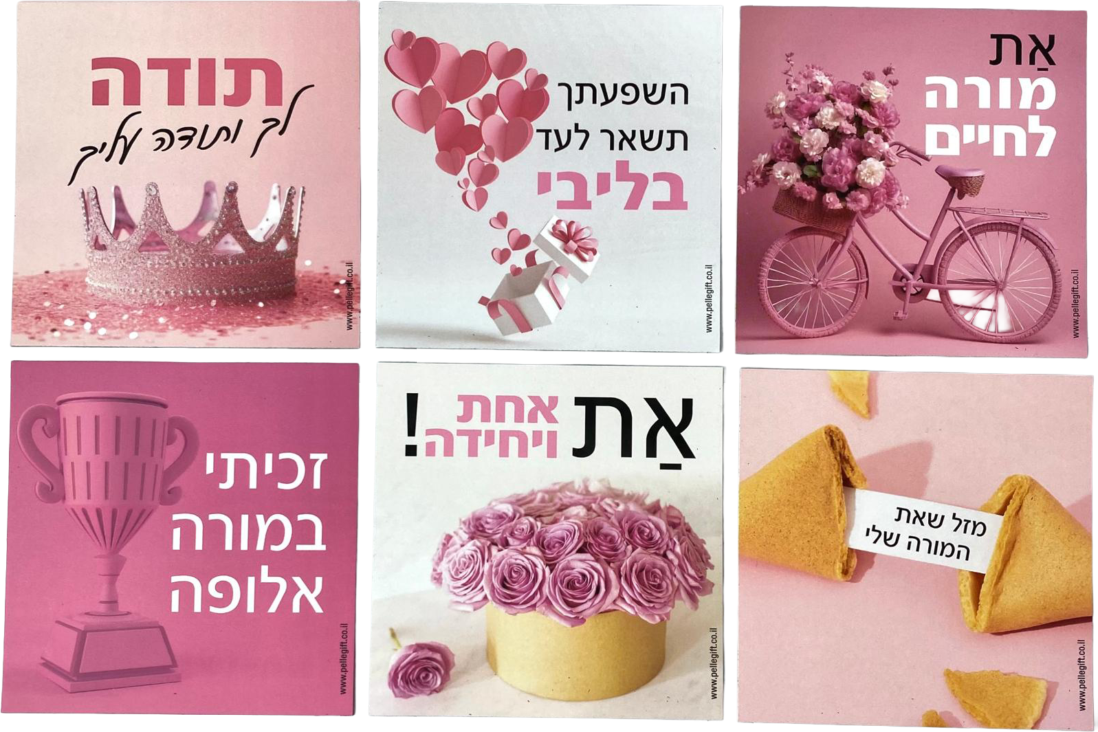 מארז למורה 6 מגנטים | תודה לך