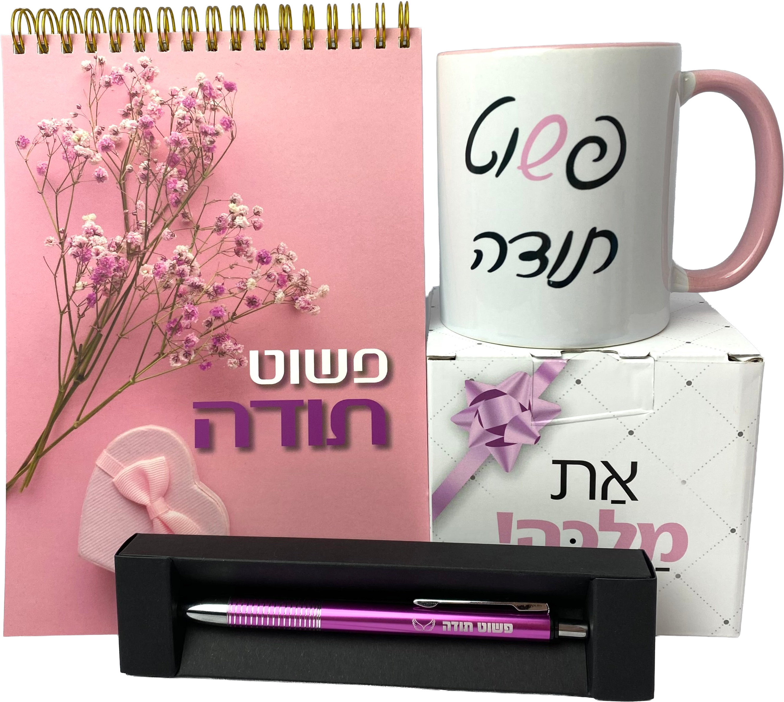 מארז פשוט תודה ספל, מחברת ספירלה ועט