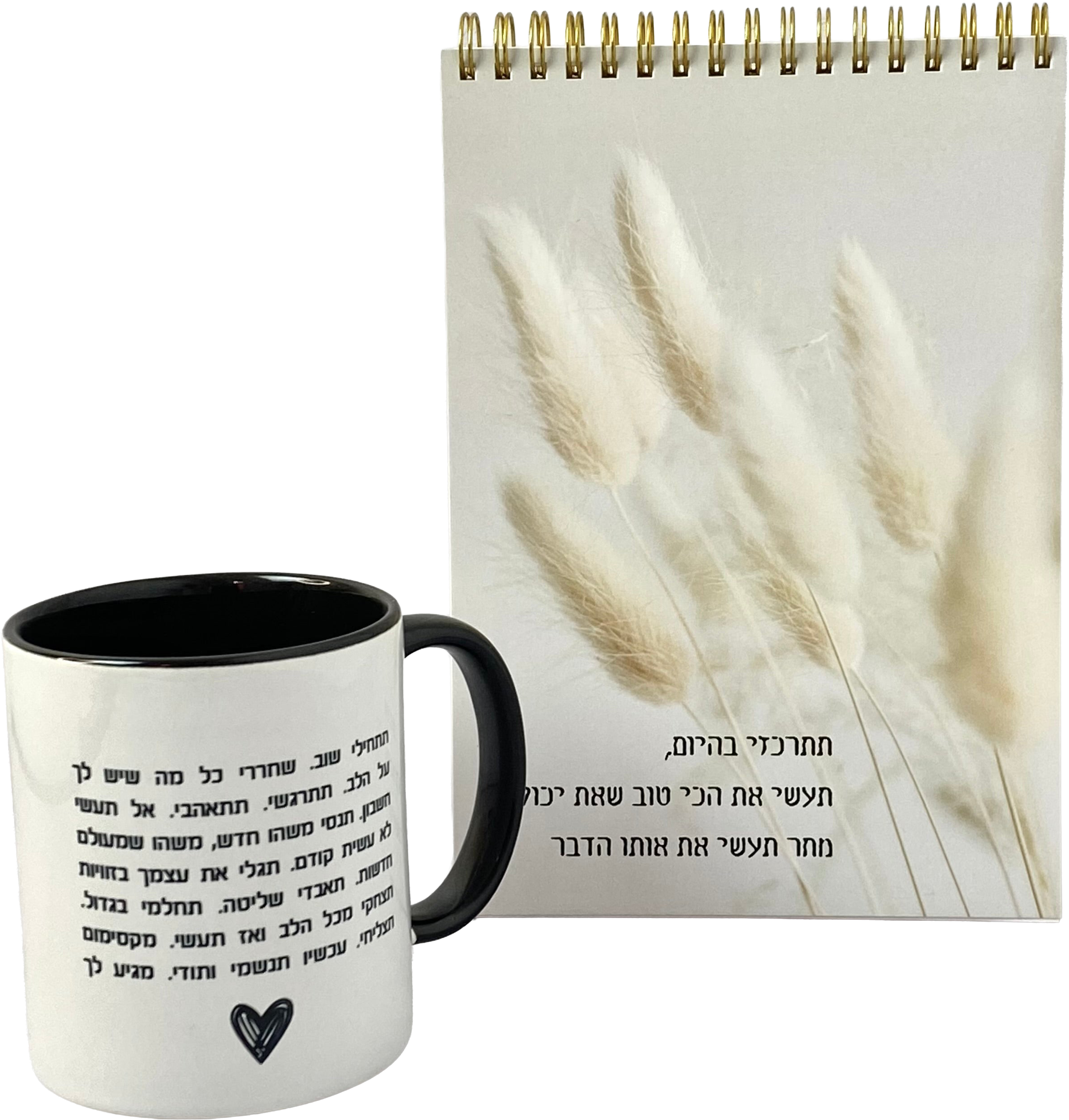 מארז תתרכזי בהיום | ספל וספירלה