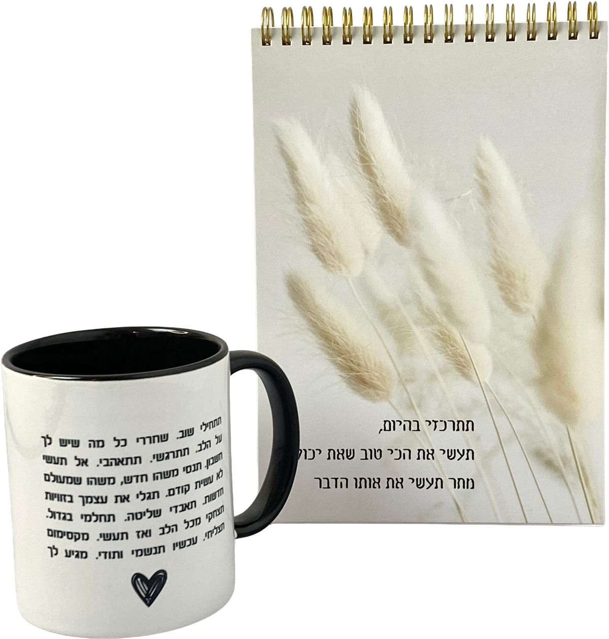 מארז תתרכזי בהיום | ספל וספירלה