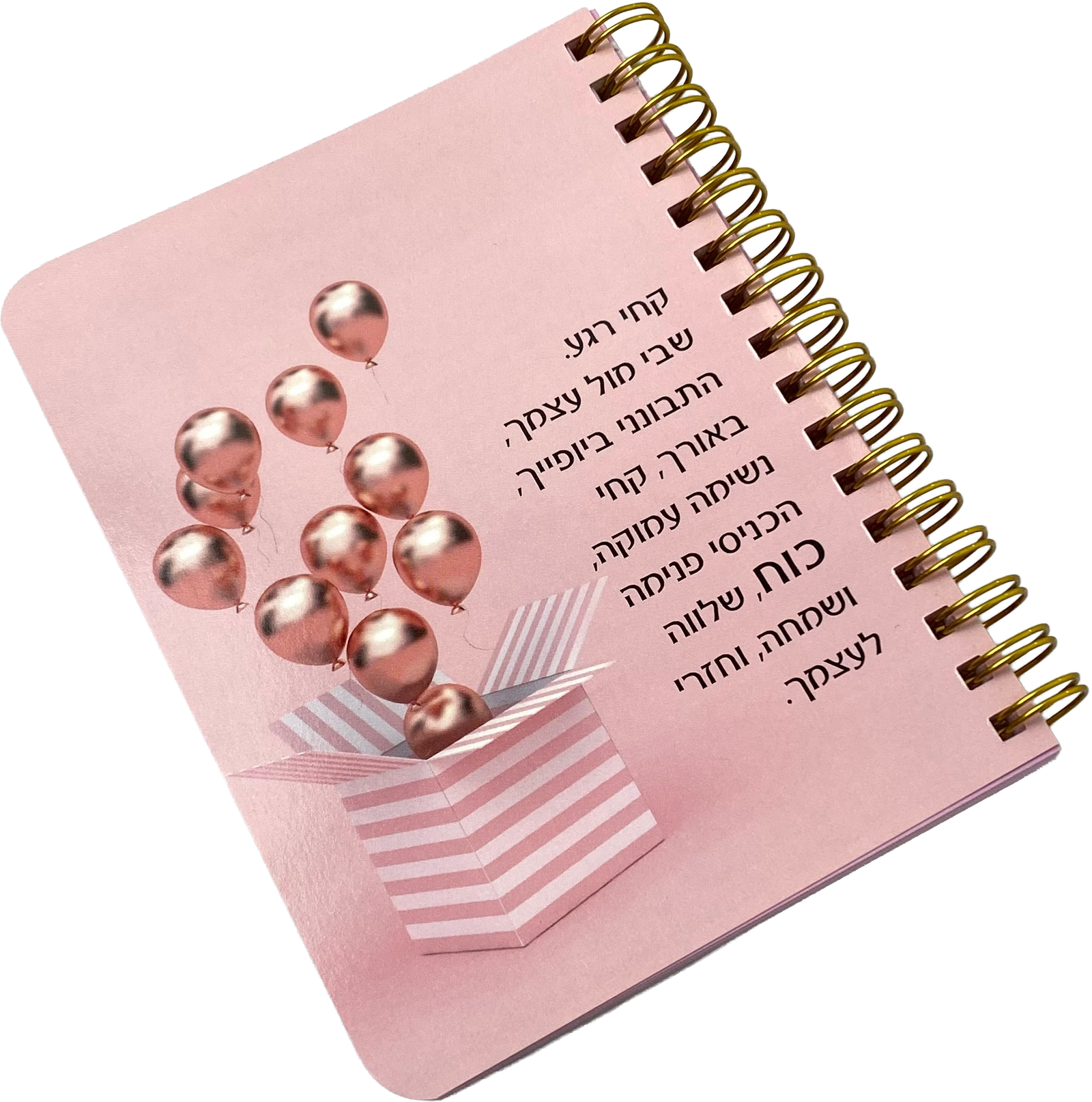 מחברת כיס | התבונני ביופייך