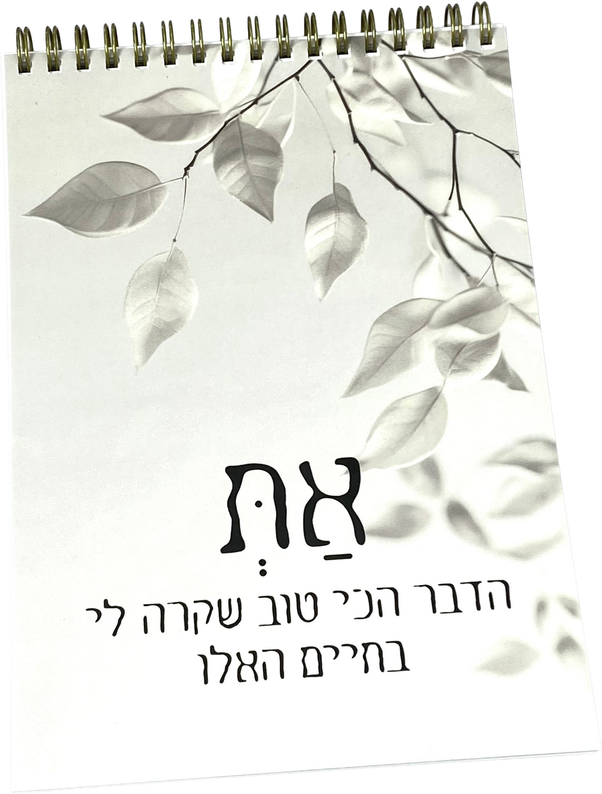 מחברת ספירלה | את הדבר הכי טוב שקרה לי בחיים האלו
