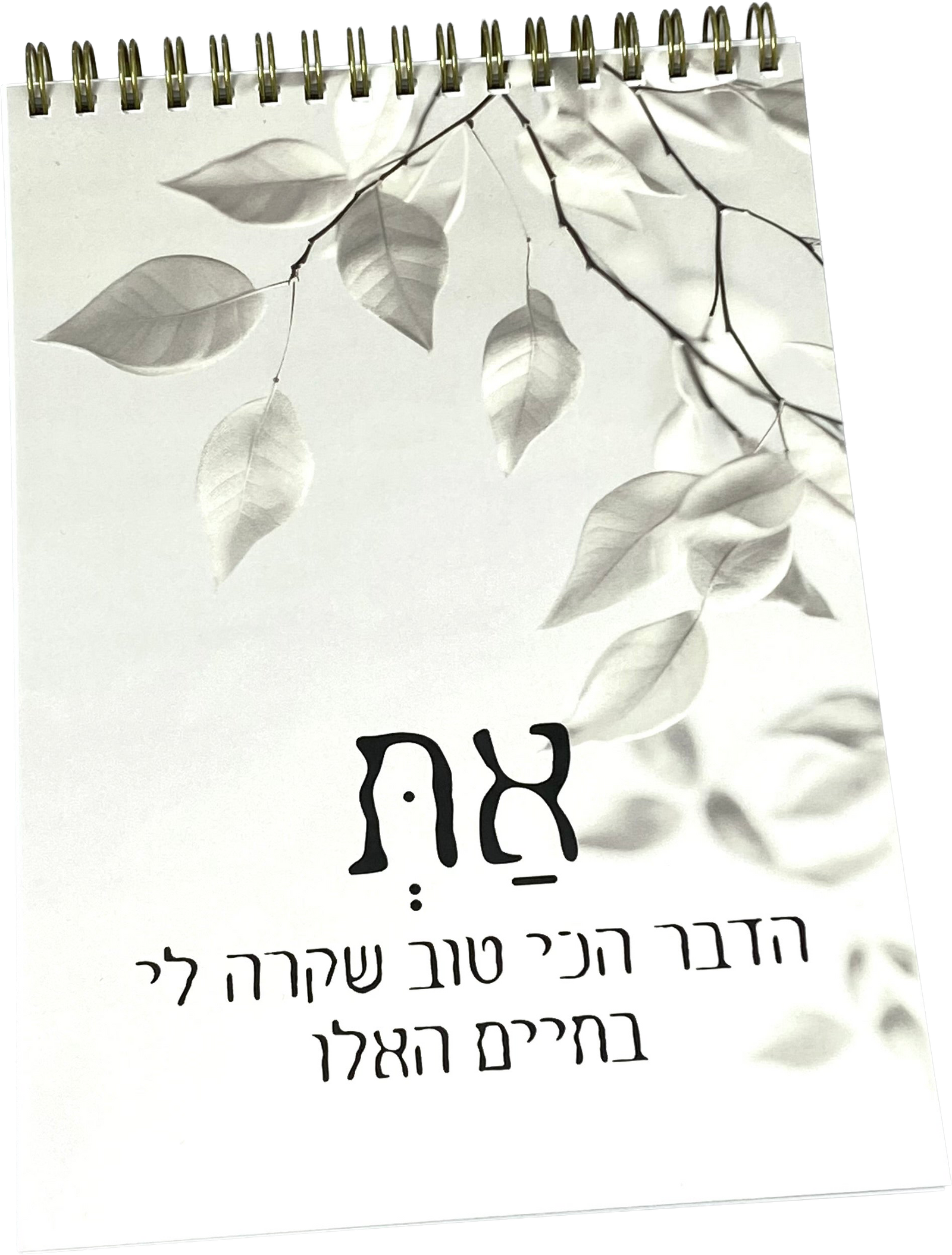 מחברת ספירלה | את הדבר הכי טוב שקרה לי בחיים האלו