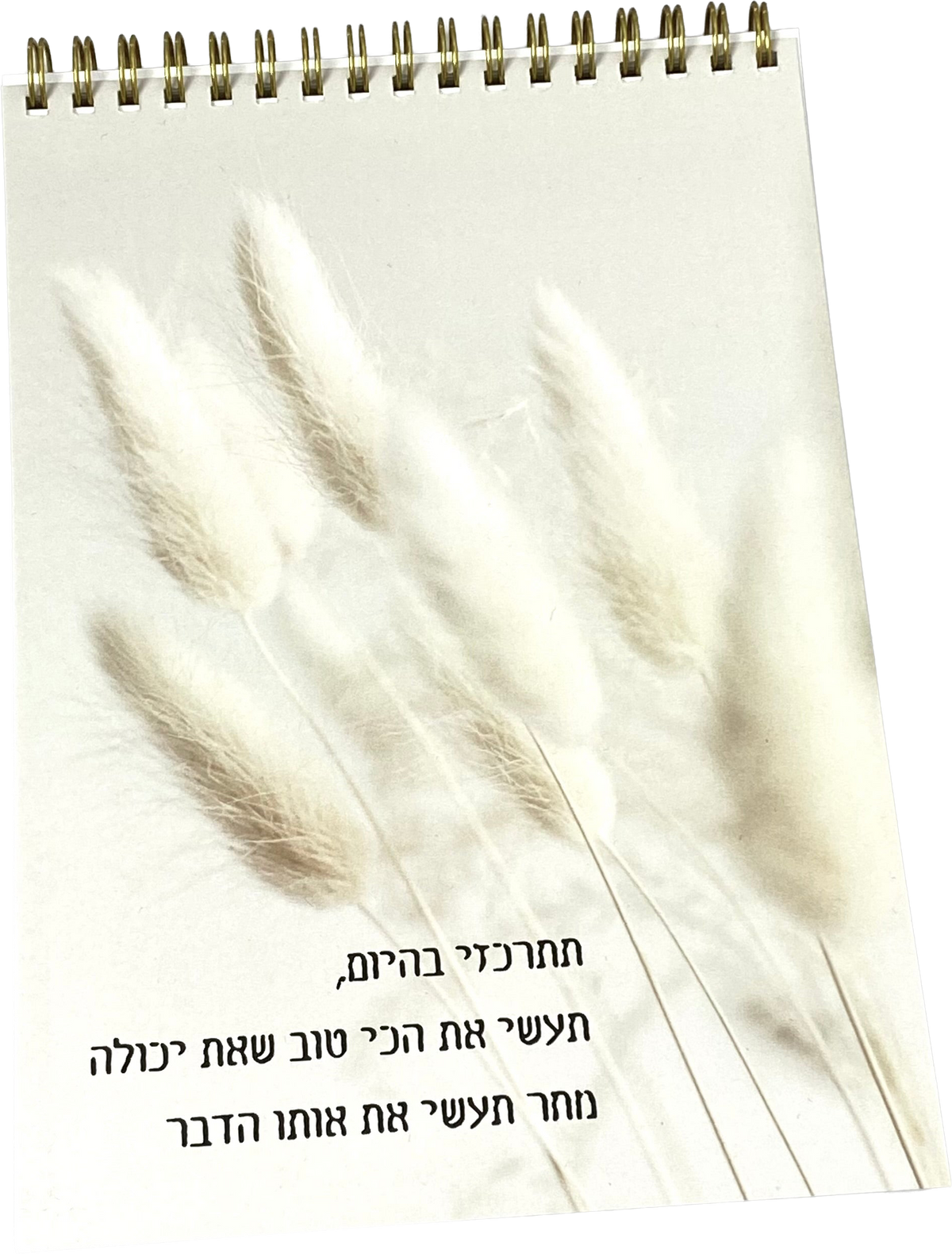 מחברת ספירלה | תתרכזי בהיום