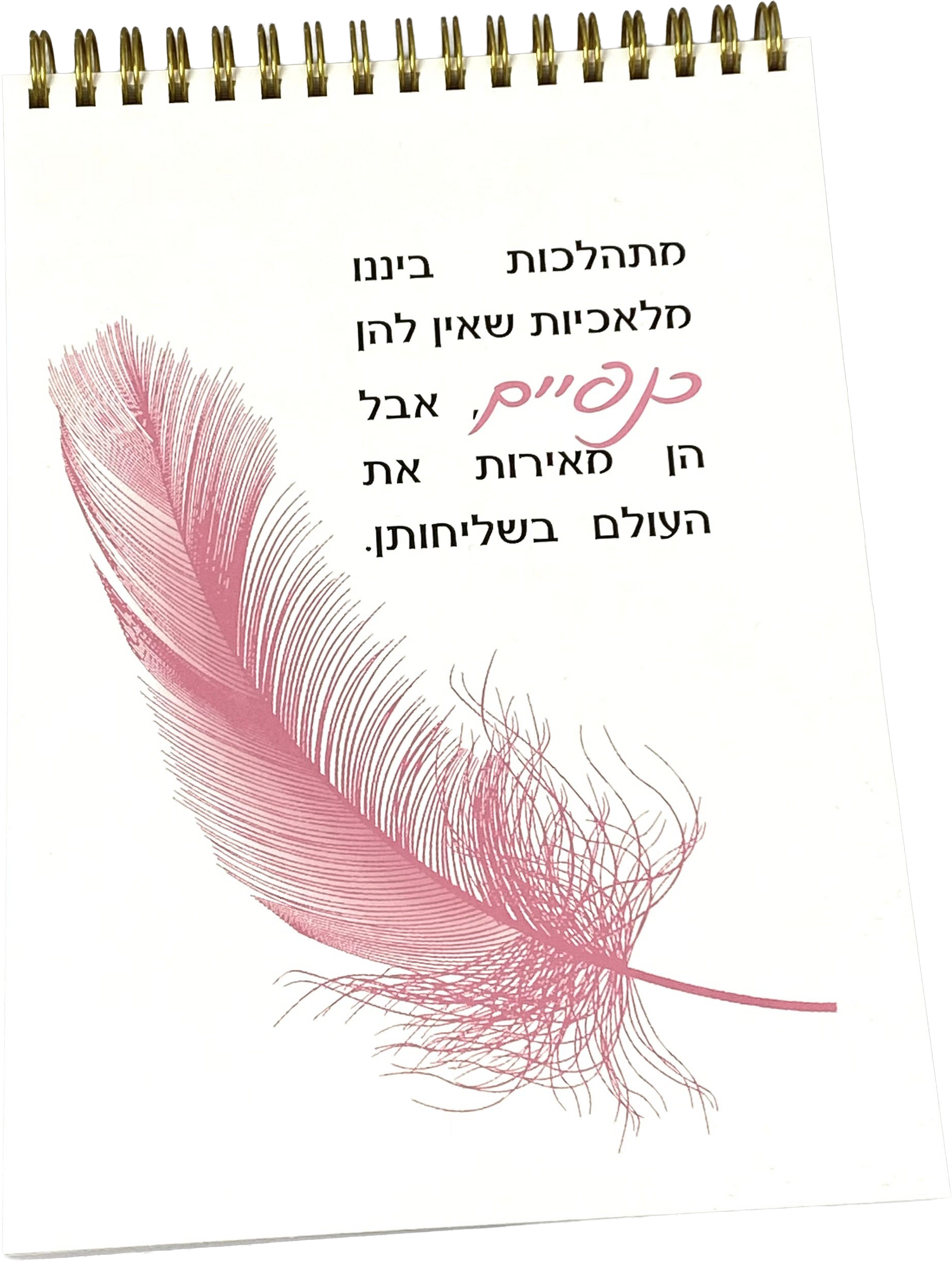 מחברת ספירלה | מלאכיות שמאירות את העולם