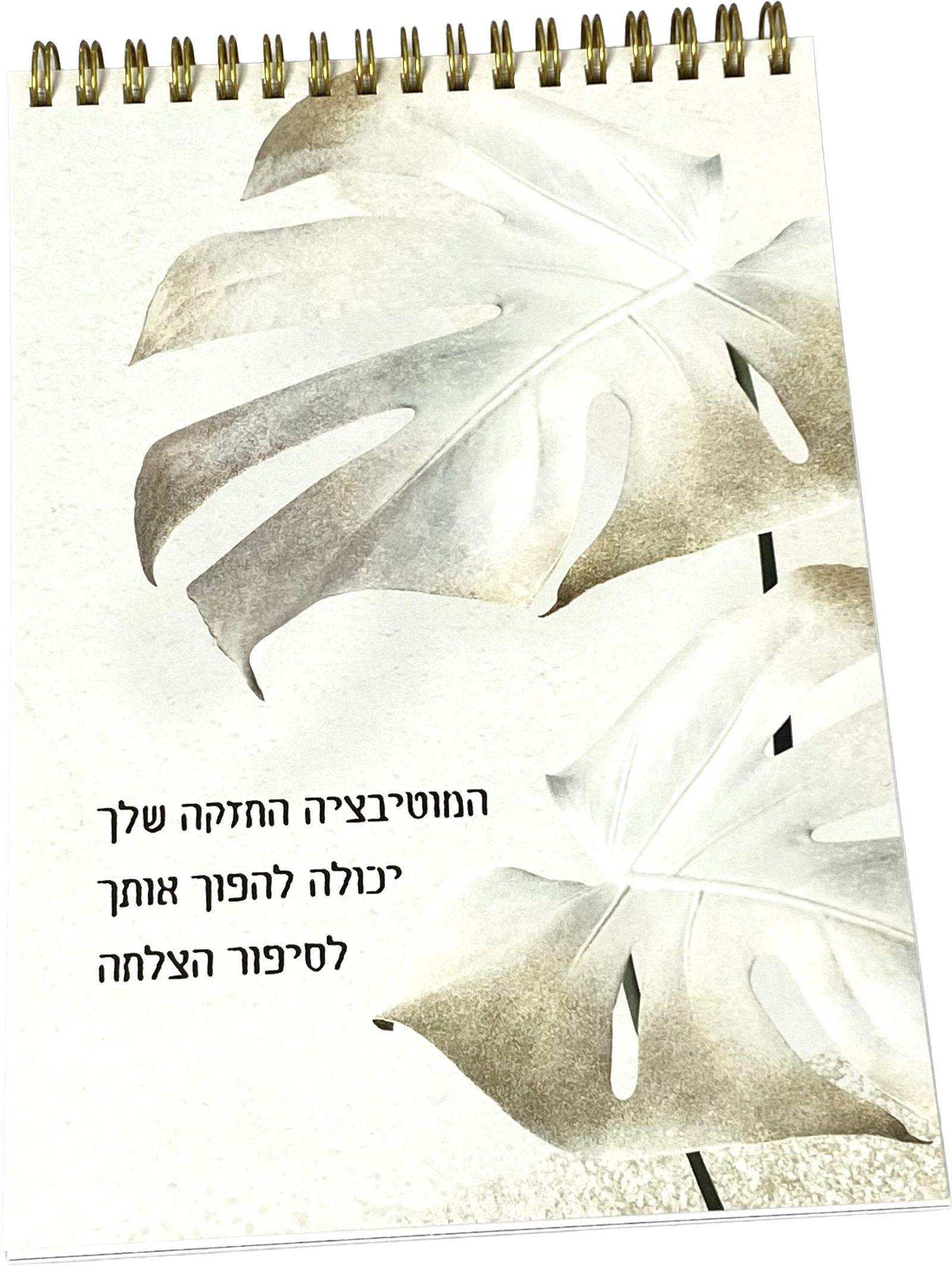 ספירלה לאישה ולגבר | מוטיבציה החזקה שלך