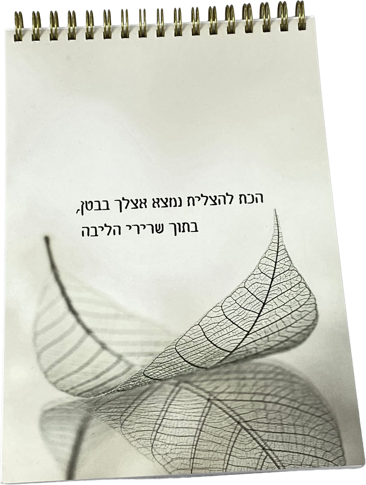 ספירלה לאישה ולגבר | הכח להצליח נמצא אצלך