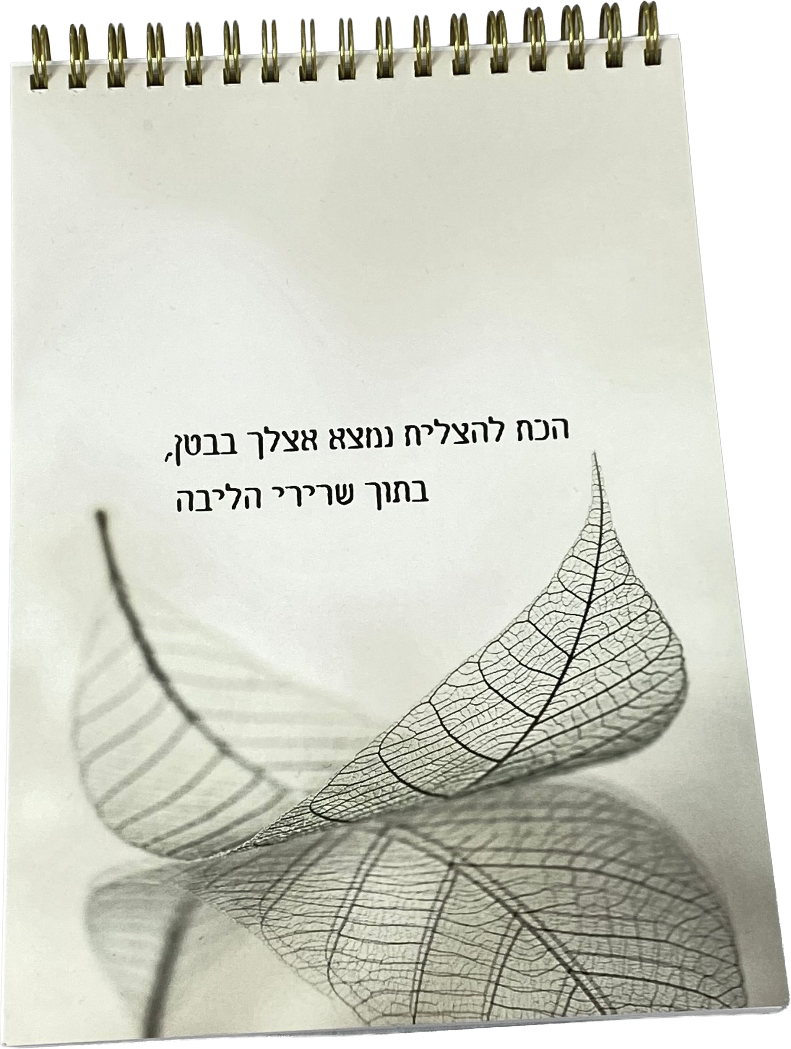 ספירלה לאישה ולגבר | הכח להצליח נמצא אצלך