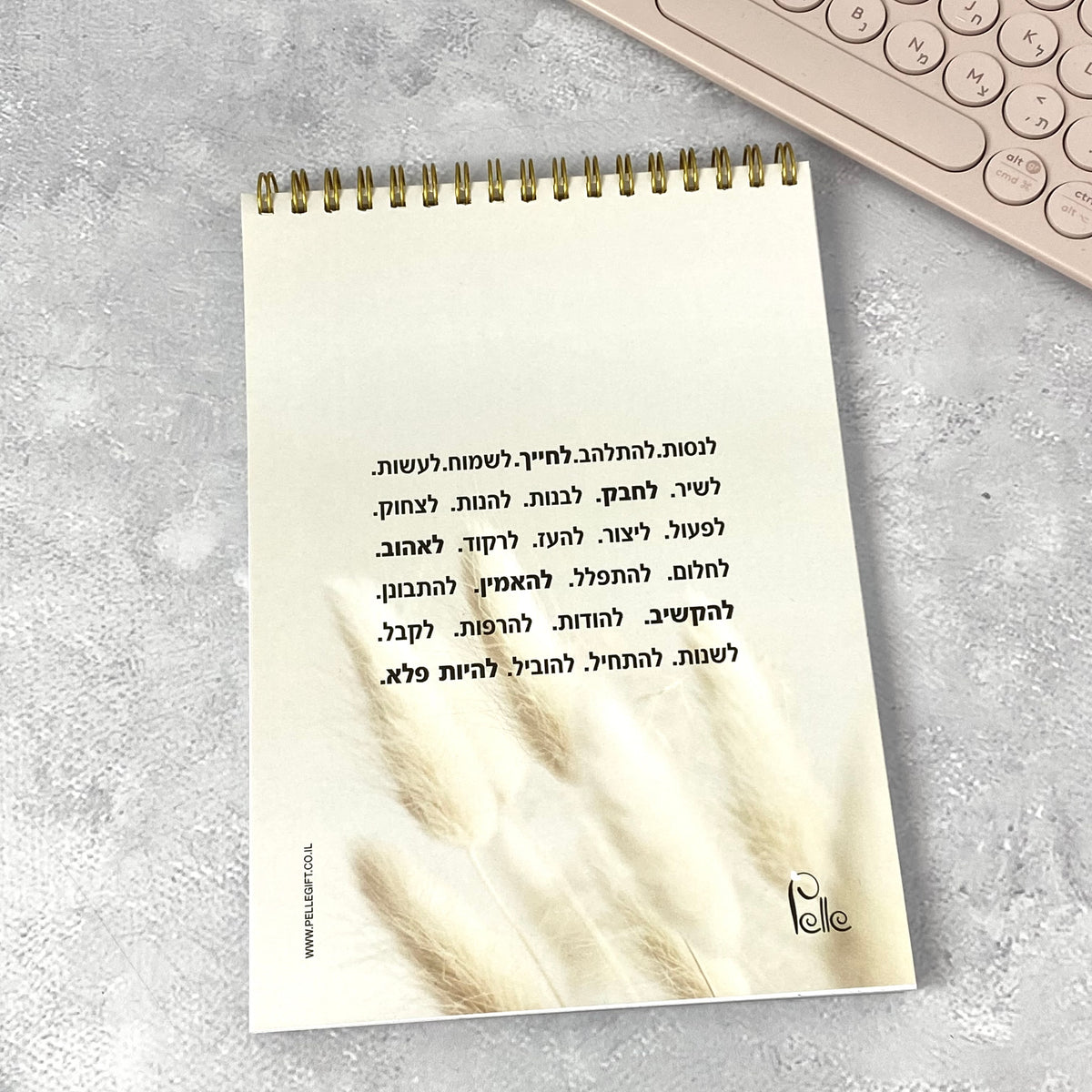 מחברת ספירלה | תתרכזי בהיום