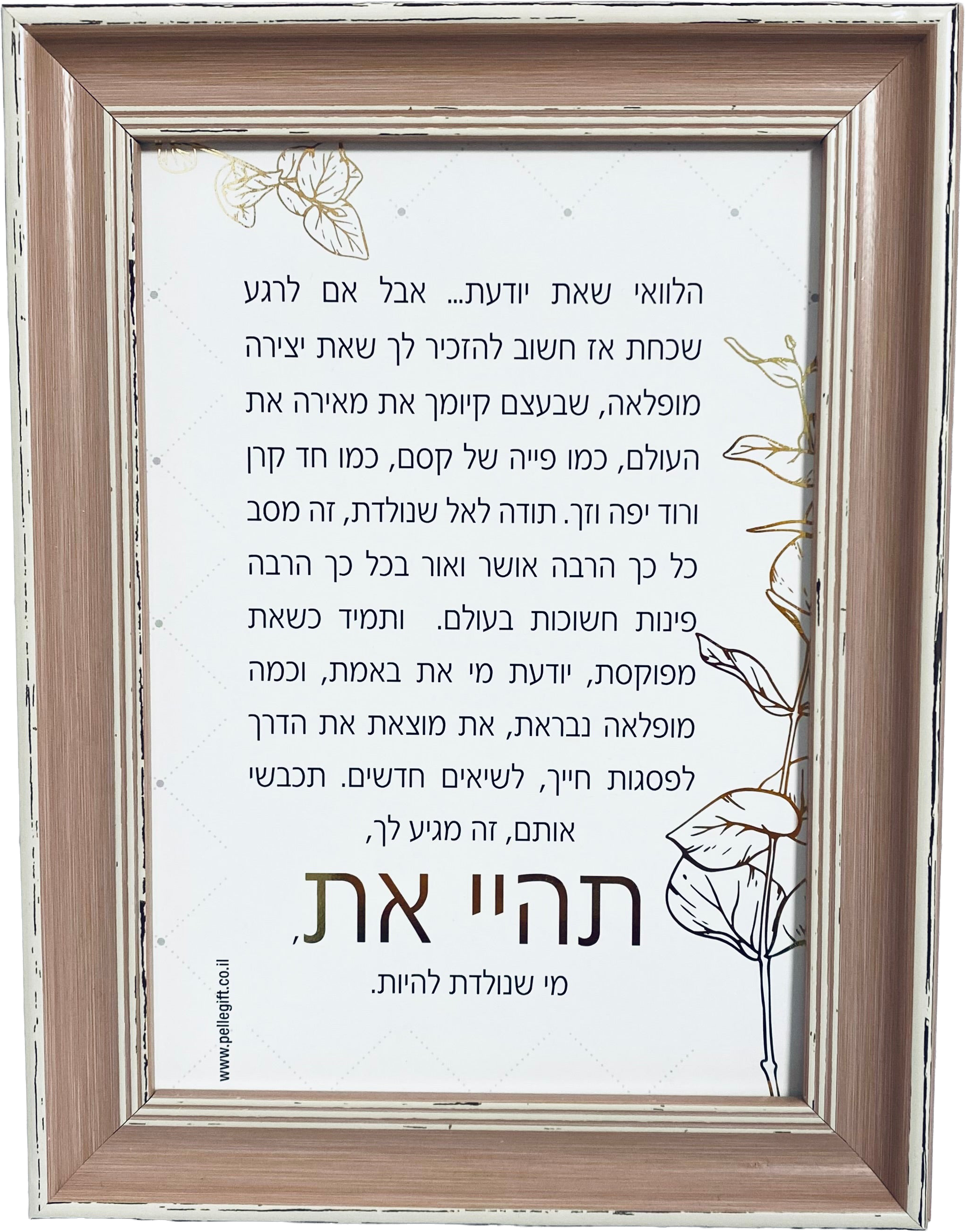 טקסט ממוסגר דגם תהיי את מי שנולדת להיות