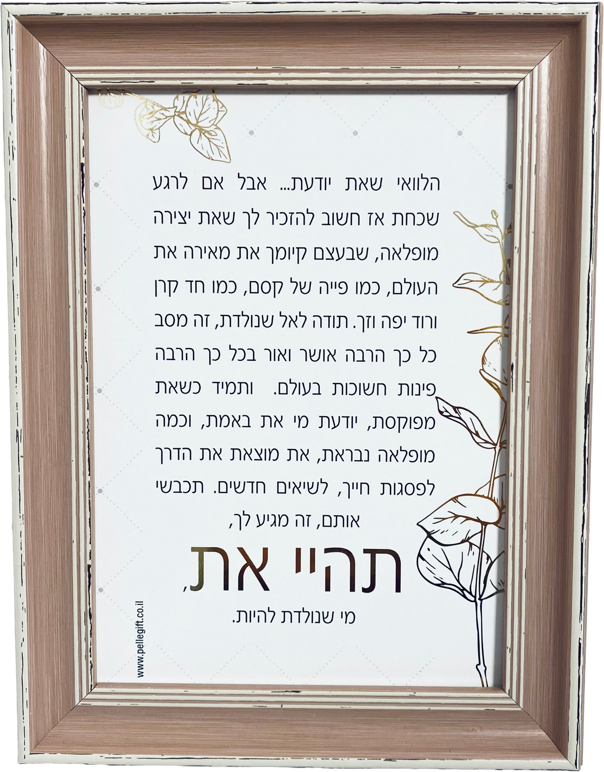 טקסט ממוסגר דגם תהיי את מי שנולדת להיות