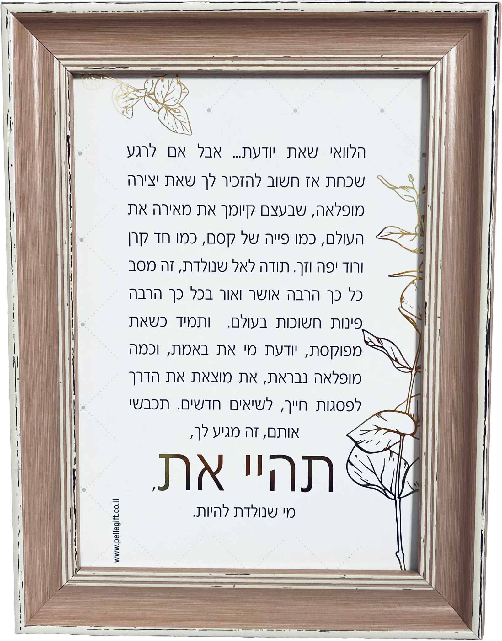 טקסט ממוסגר דגם תהיי את מי שנולדת להיות