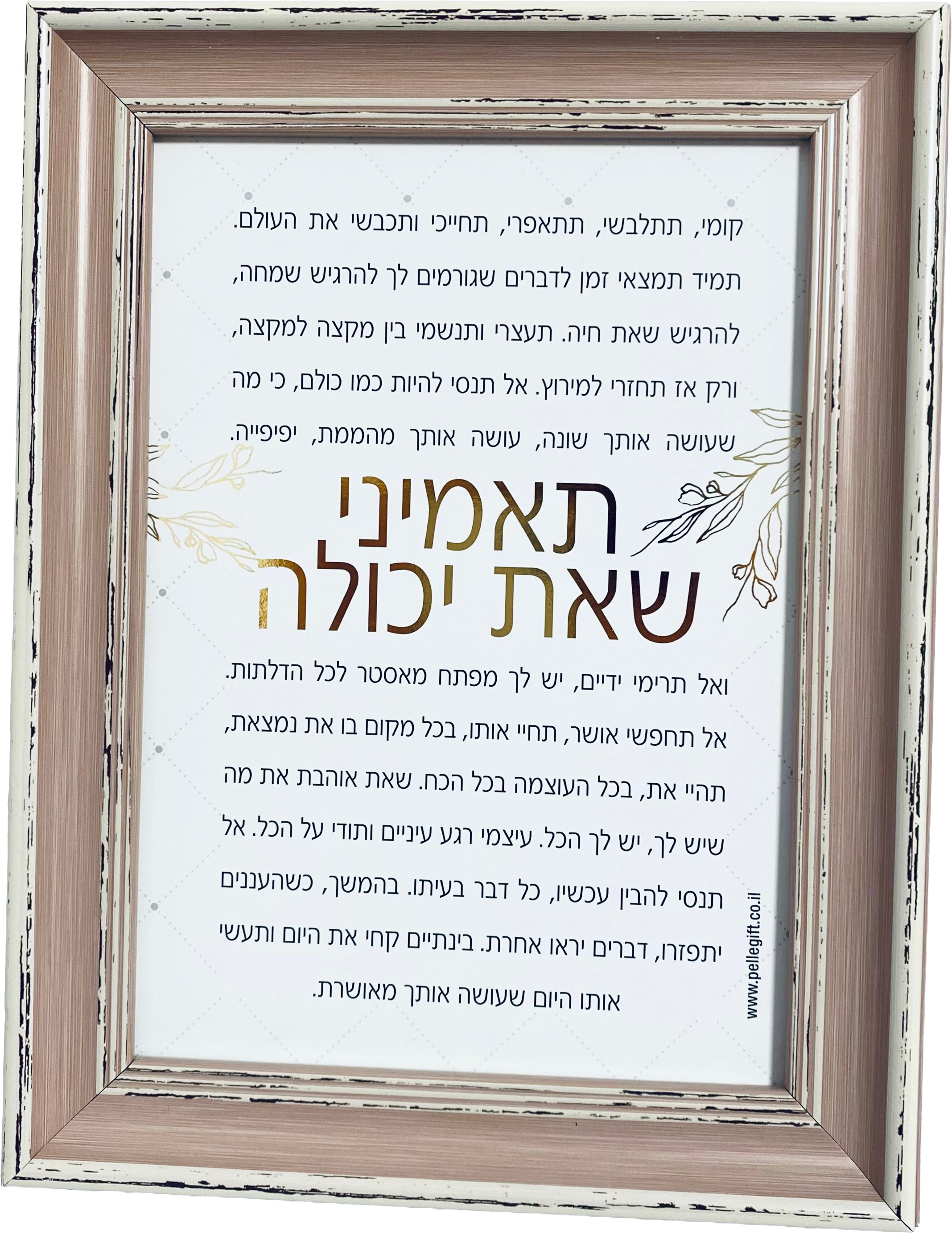 טקסט ממוסגר דגם תאמיני שאת יכולה