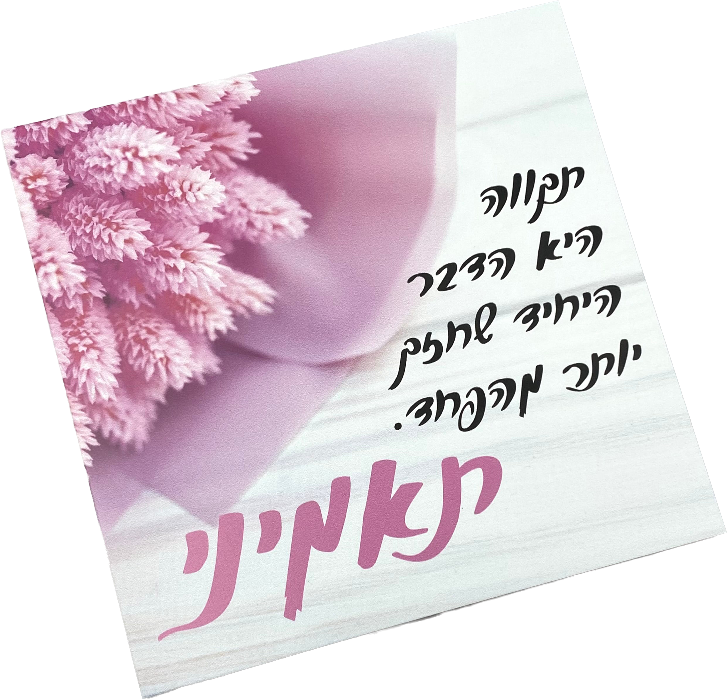 תמונה | תאמיני