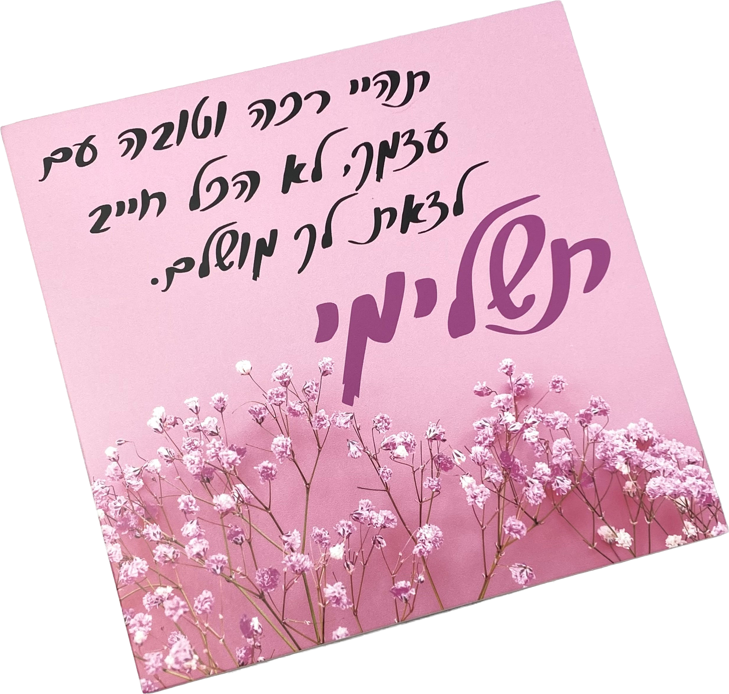 תמונה דגם תשלימי