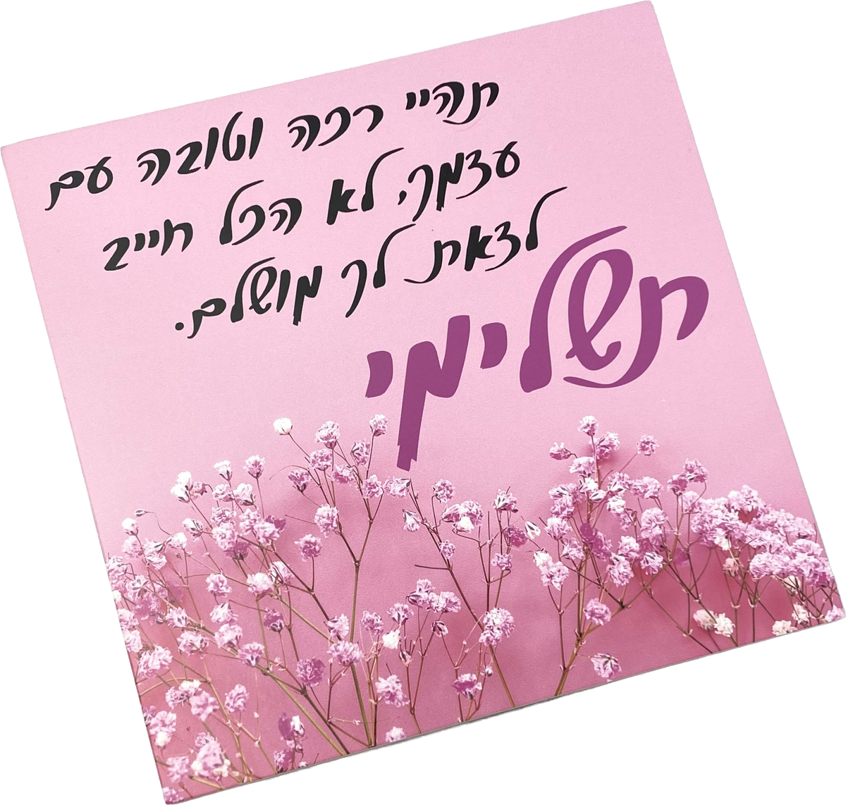 תמונה דגם תשלימי
