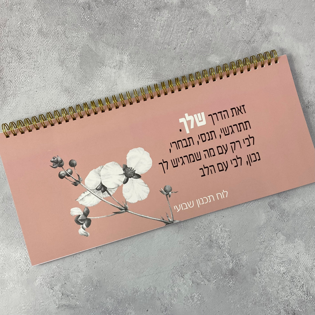 לוח תכנון שבועי ספירלה דגם זאת הדרך שלך