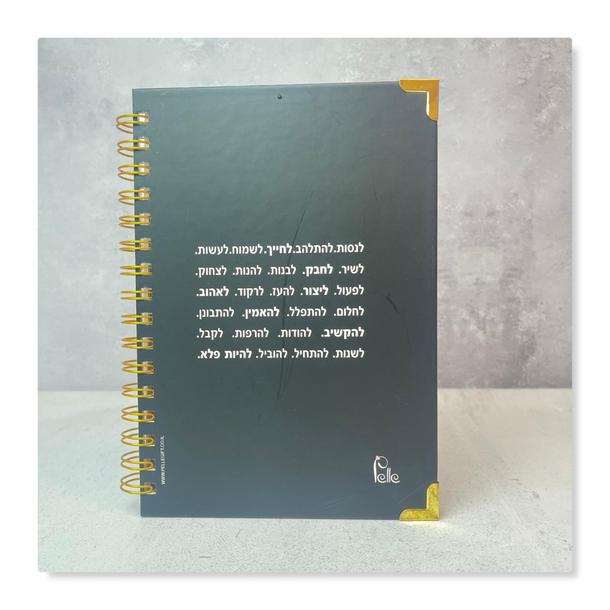 יומן שנתי שבועי לשנת תשפ"ז 2026-2027 |  DREAM BIG