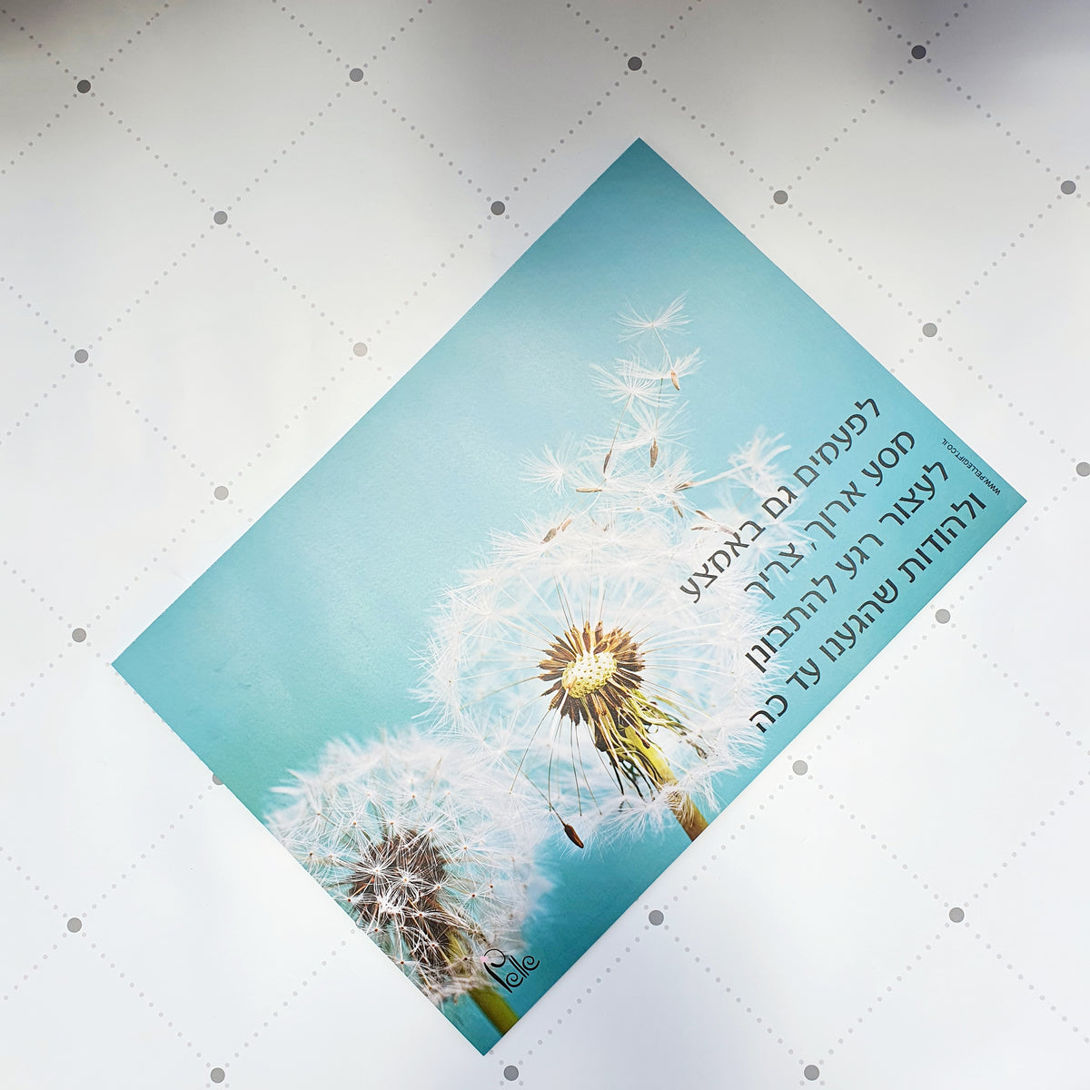 פלייסמנט עוצמת הרכות