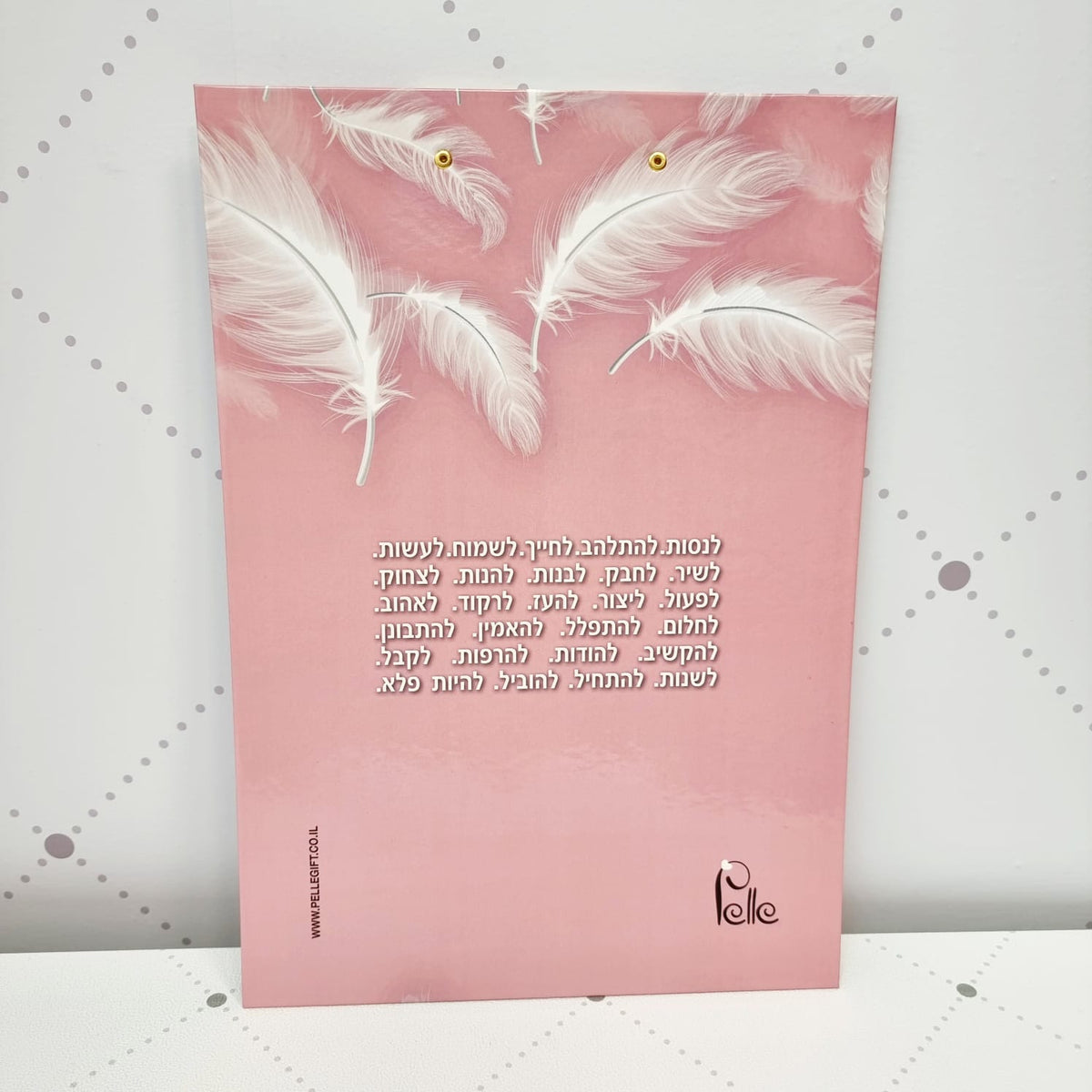 תיק מהנדס דגם חולמת ומגשימה